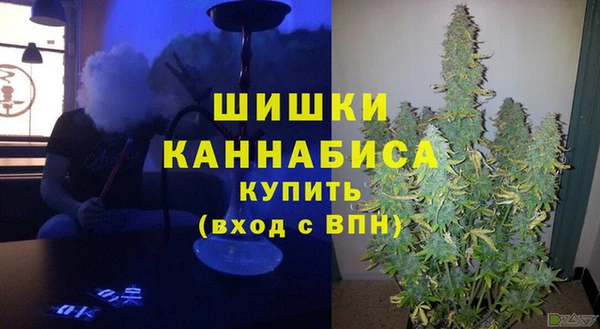 эйфоретик Краснослободск