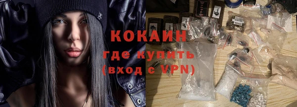 шишки Кукмор